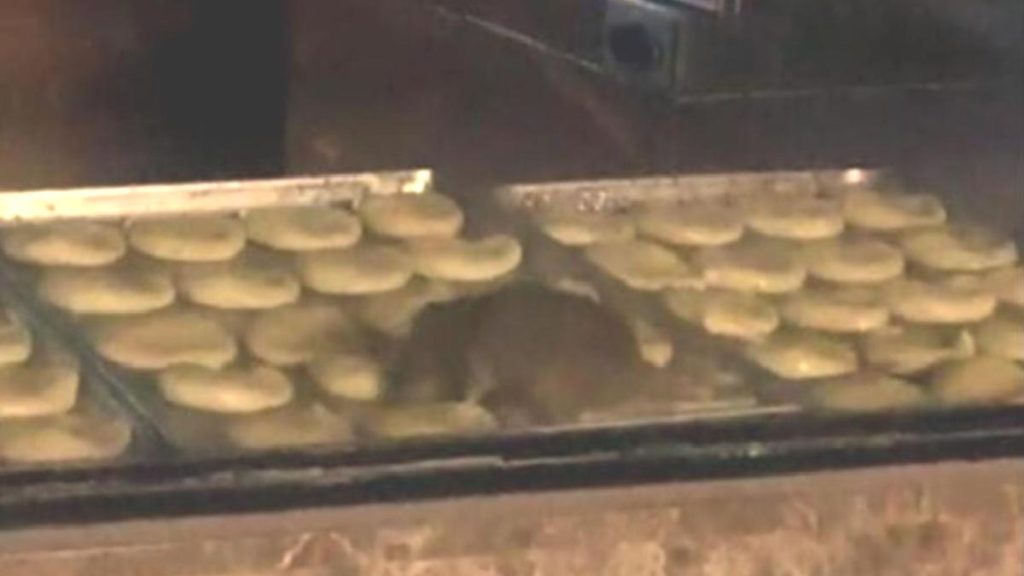 Hangi pastanede fare çıktı? (Poğaça üzerinde gezen fare olayı)