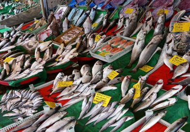 Balıkta Son Fiyatlar: Hamsi, mezgit, çinekop ne kadar oldu? (2023)