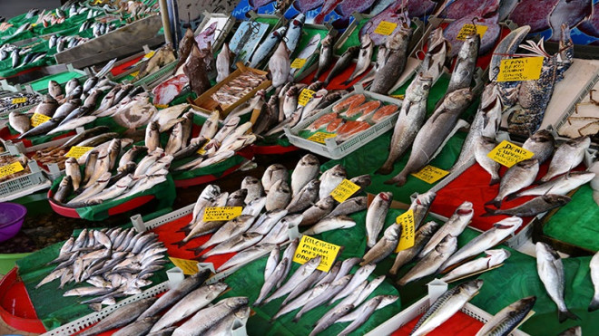 Balıkta Son Fiyatlar: Hamsi, mezgit, çinekop ne kadar oldu? (2023)