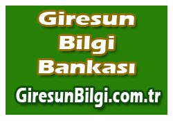 cemil giresun